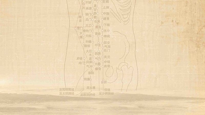 中医养生机构如何甄别？揭秘正规机构的五大标准