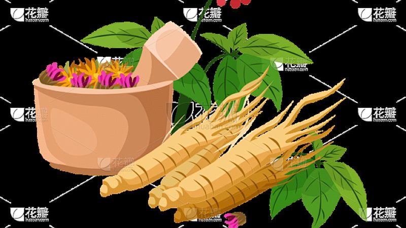 养生馆加盟，费用明细表背后的考量**