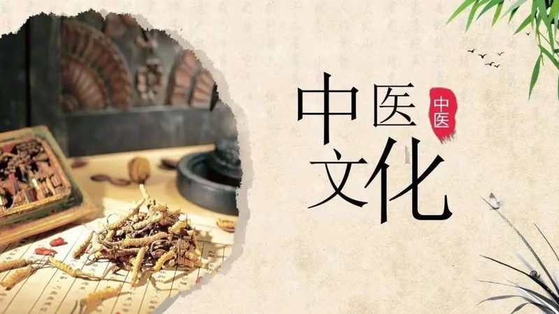 上海中医推拿按摩：探寻古法传承与现代科学的完美融合